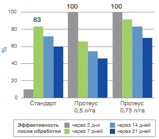 График