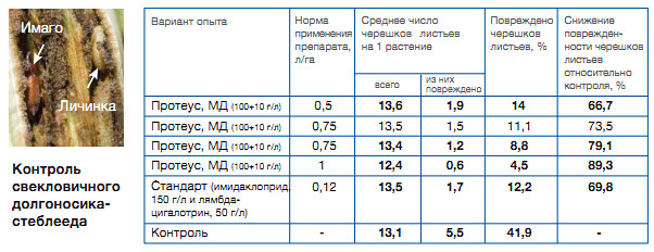 Контроль свекловичного долгоносика-стеблееда