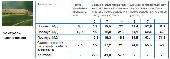 Контроль видов cовок