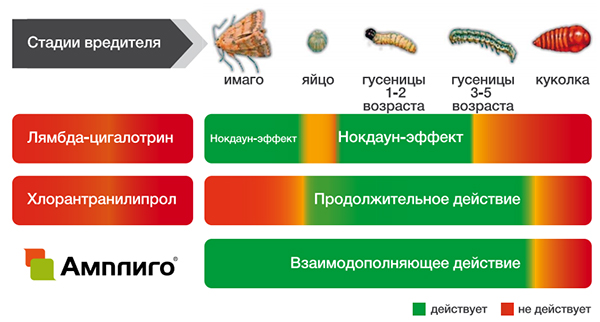 Контроль различных стадий вредителя