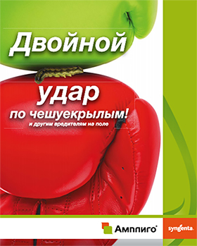Амплиго
