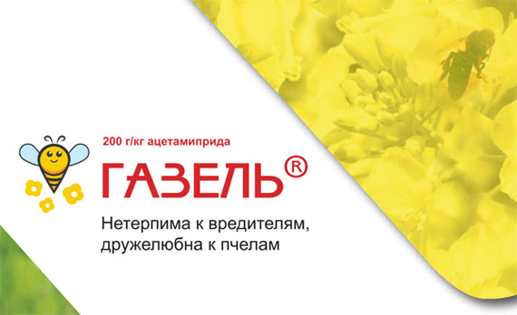 Газель