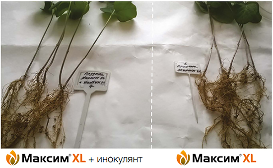 Эффект