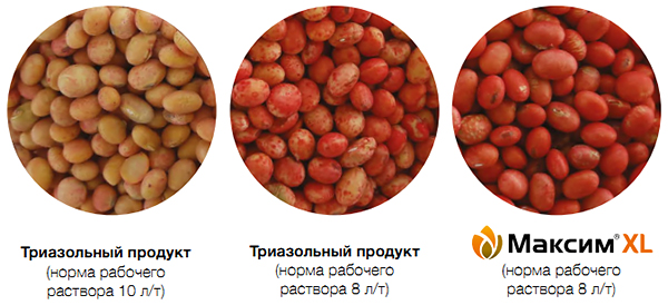 Сравнение