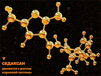 Седаксан