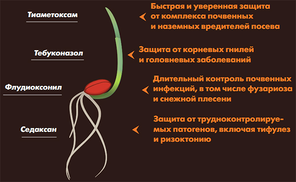 Действующие вещества Вайбранс Интеграл