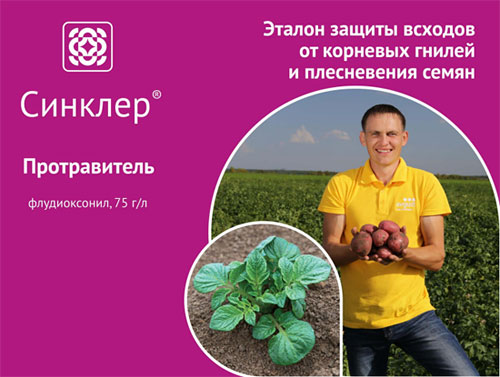 Синклер