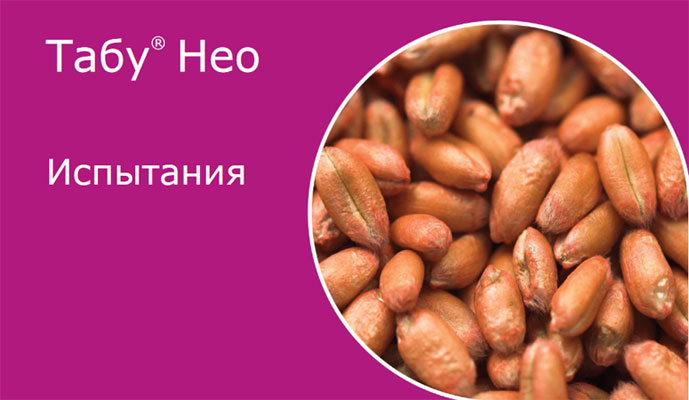 Испытания