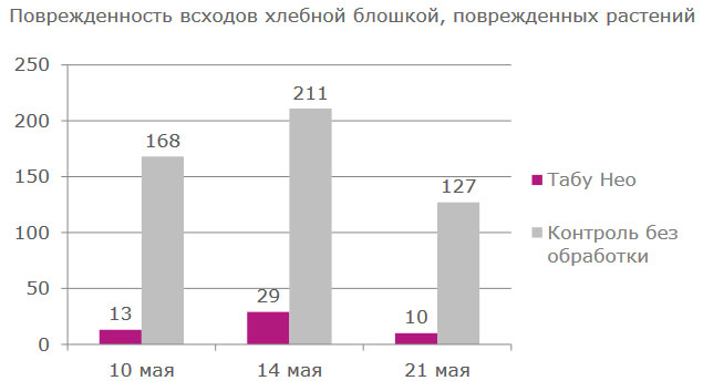 Поврежденность всходов хлебной блошкой