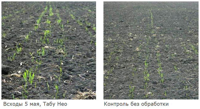 Результаты применения