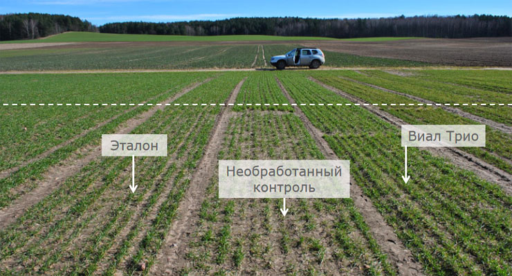 Результаты применения