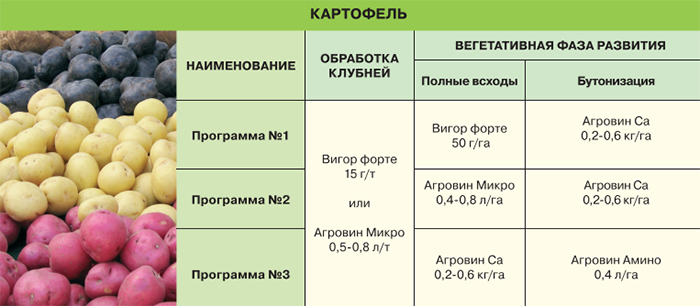 Картофель