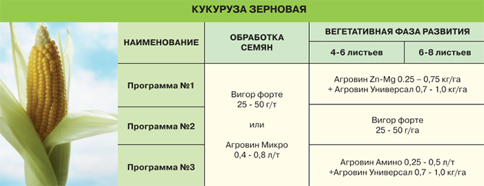 Кукуруза