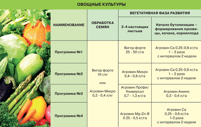 Овощные культуры