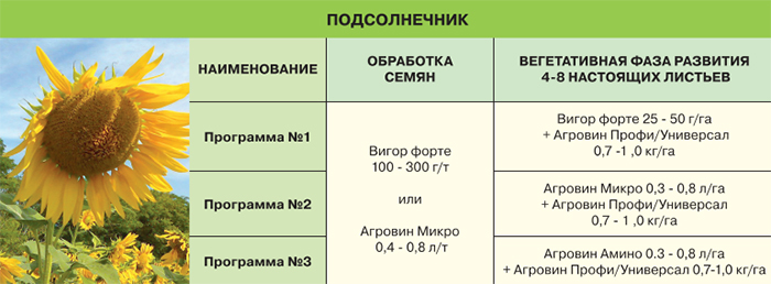Подсолнечник